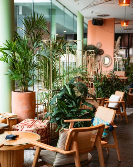 Restaurant bar Solis - Ambiance méditerranéenne chaleureuse et accueillante